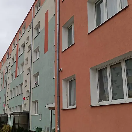 Mewa, Blisko Morza *