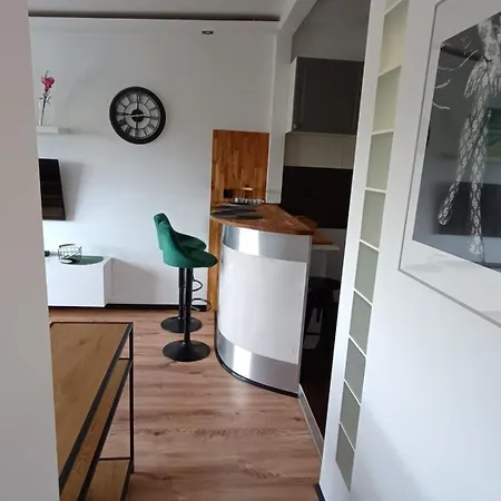 Mewa, Blisko Morza * Gdańsk