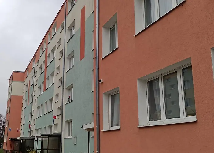 Mewa, Blisko Morza *